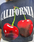 CAMISETA CEREZAS CALIFORNIA GRIS