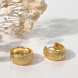 PENDIENTES SIENA