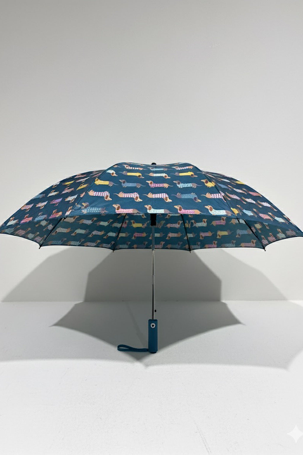 PARAGUAS PERRO SALCHICHA