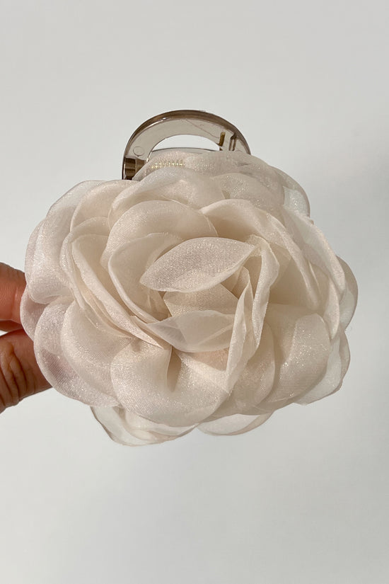 PINZA ROSE BLOOM
