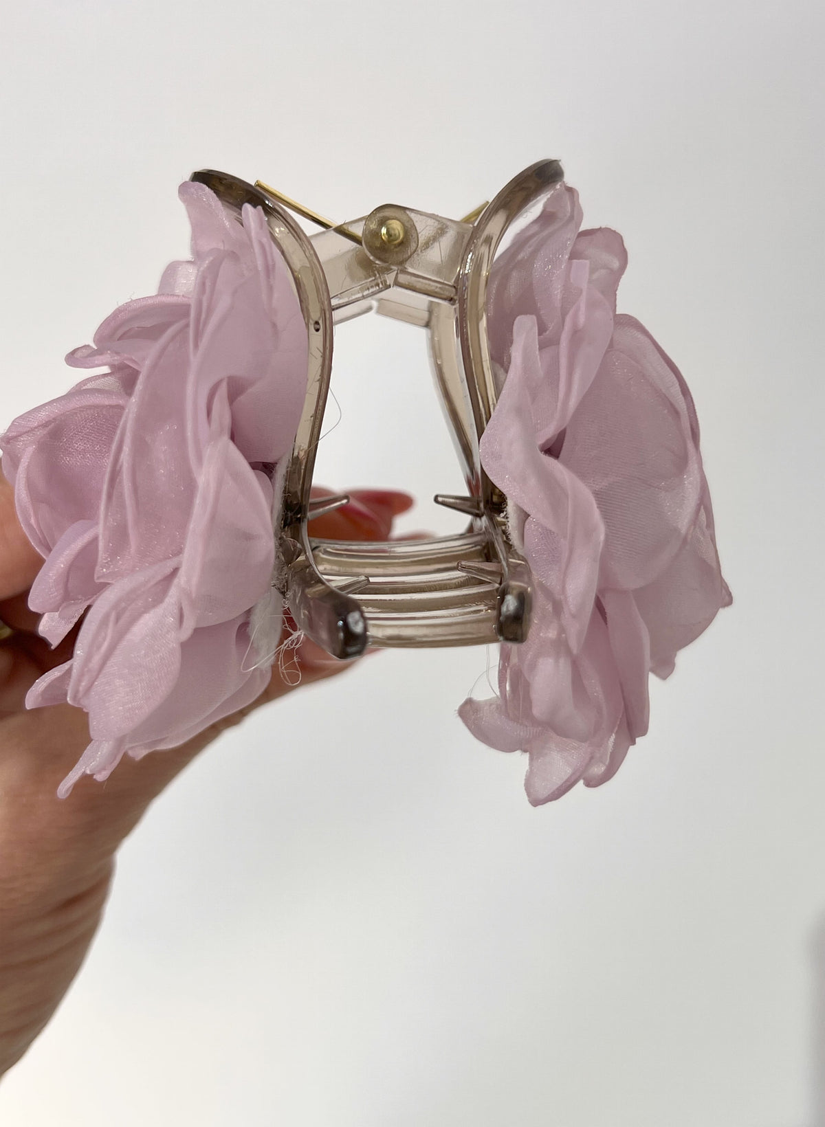 ROSE-BLOOM-ZANGE