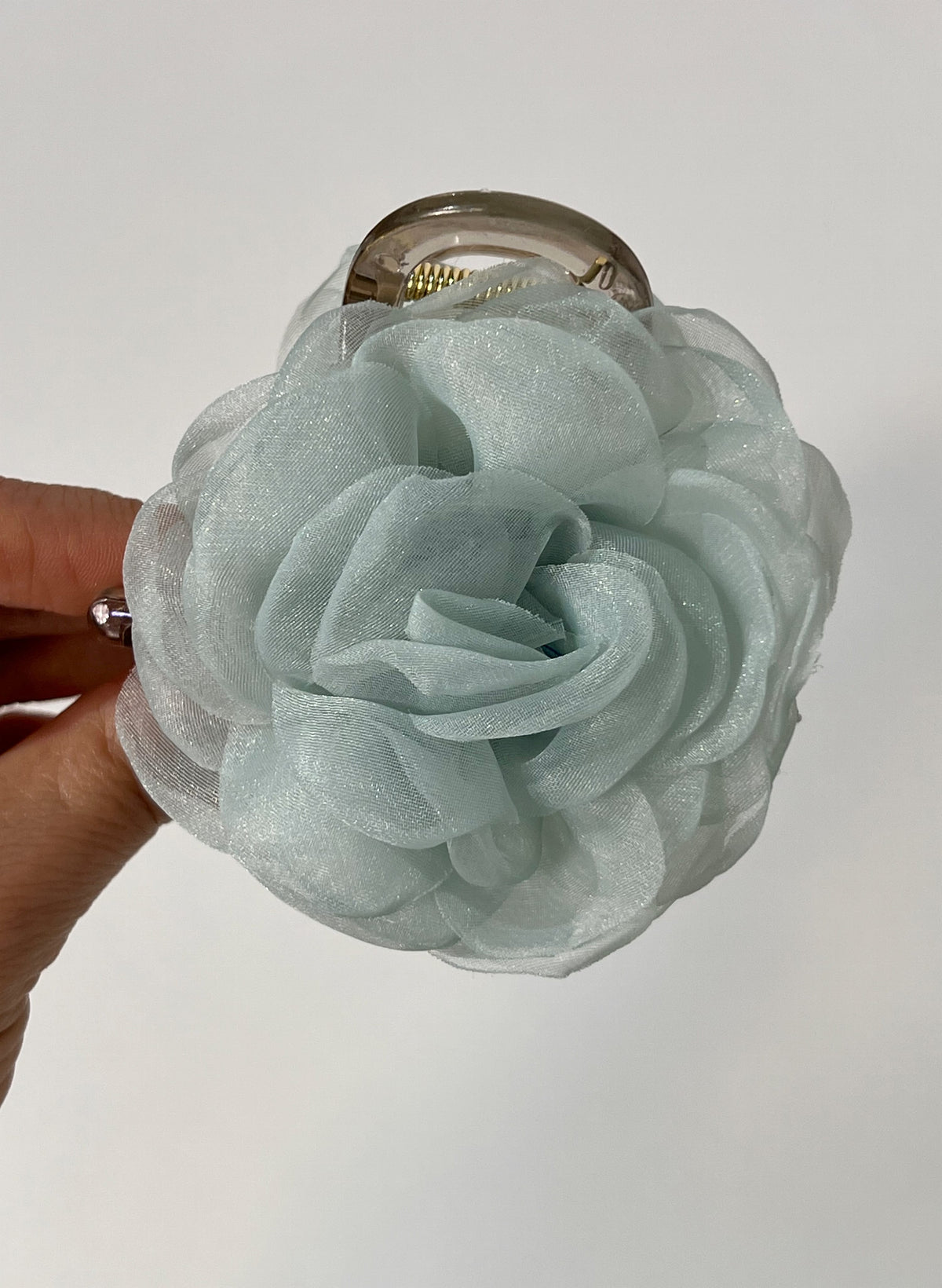 ROSE-BLOOM-ZANGE
