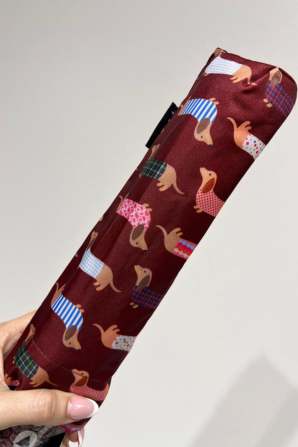 PARAGUAS PERRO SALCHICHA