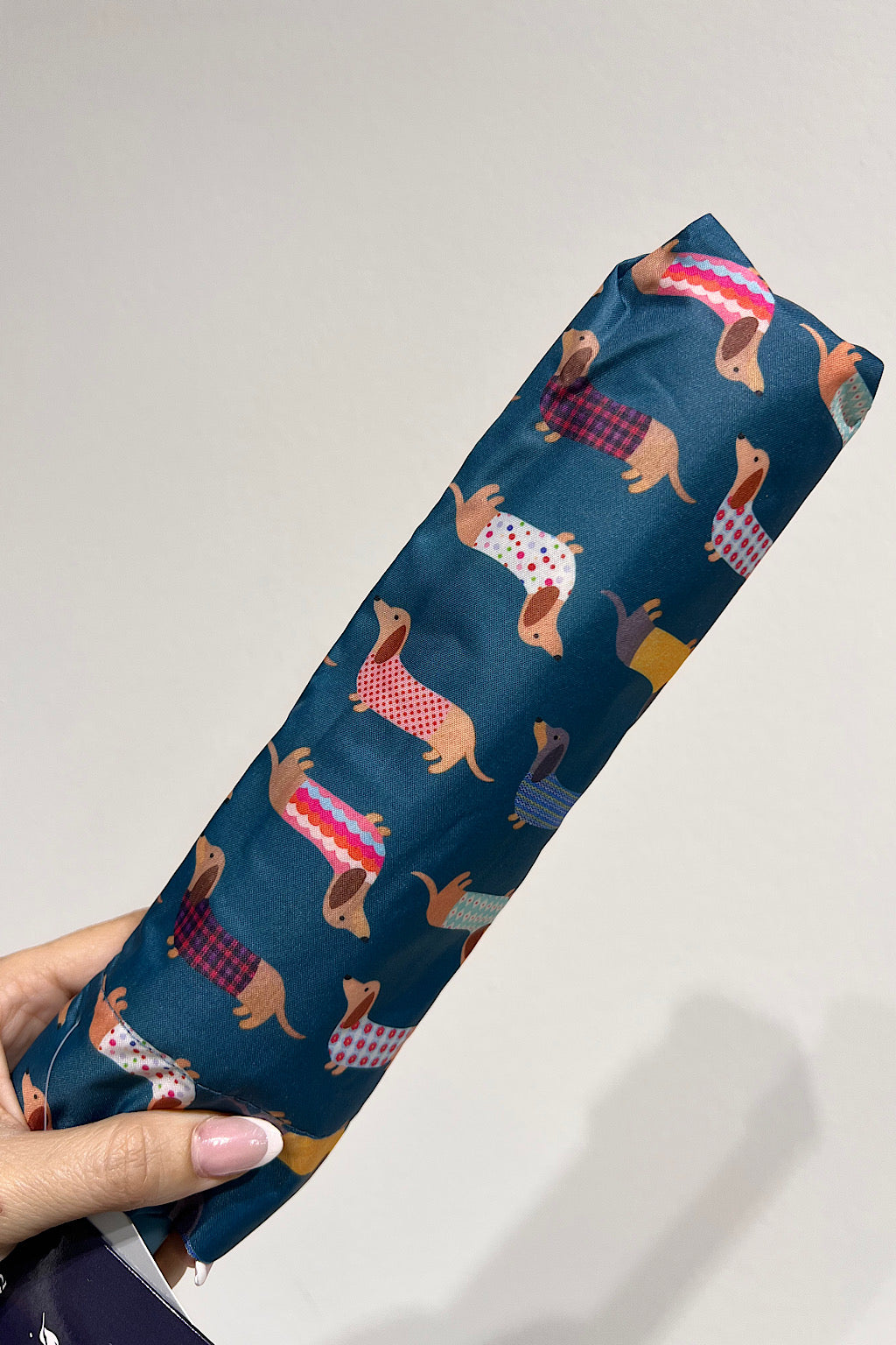 PARAGUAS PERRO SALCHICHA